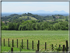 foto Paesaggi alle Pendici del Monte Grappa